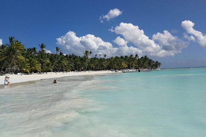 Saona Island: Full-Day, Small-Group Tour From Punta Cana - Tour Highlights