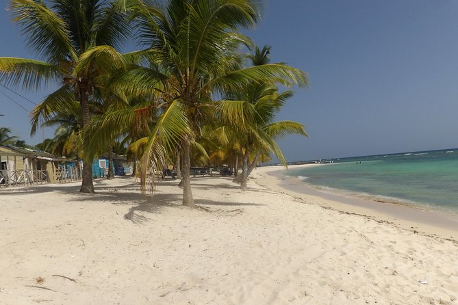 Saona Island: Full-Day, Small-Group Tour From Punta Cana - Meeting and Pickup Details