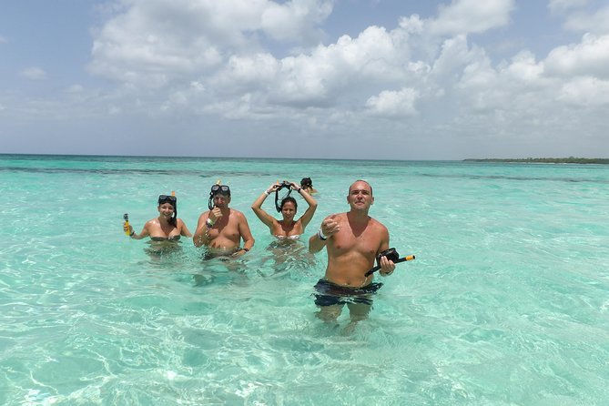 Saona Island: Full-Day, Small-Group Tour From Punta Cana - Customer Reviews and Recommendations