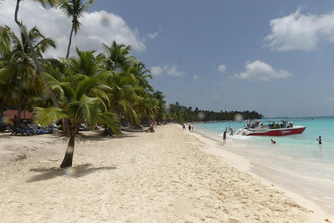 Saona Island: Full-Day, Small-Group Tour From Punta Cana - Contact and Support Information