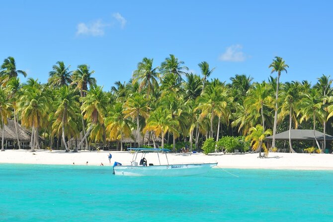 Saona Island Full-Day Tour From Boca Chica - Additional Information