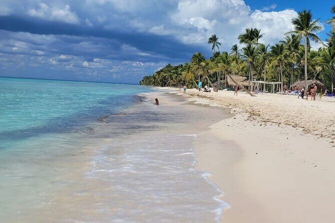 Saona Island Full-Day Tour from Punta Cana Bayahibe All Inclusive - The Sum Up