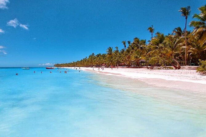 Saona Island Full-Day Tour From Santo Domingo - Tour Overview