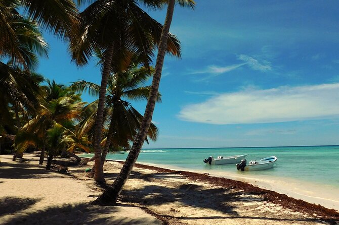 Saona Island Full-Day Tour From Santo Domingo - Tour Highlights