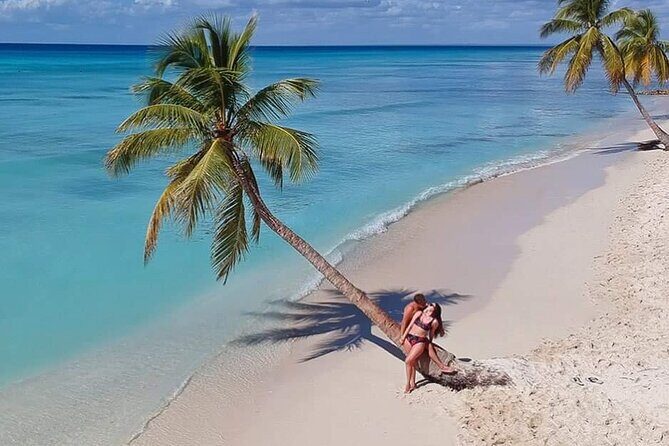 Saona Island Full Day Tour Lunch and Transportation Included - A Detailed Look at the Saona Island Tour