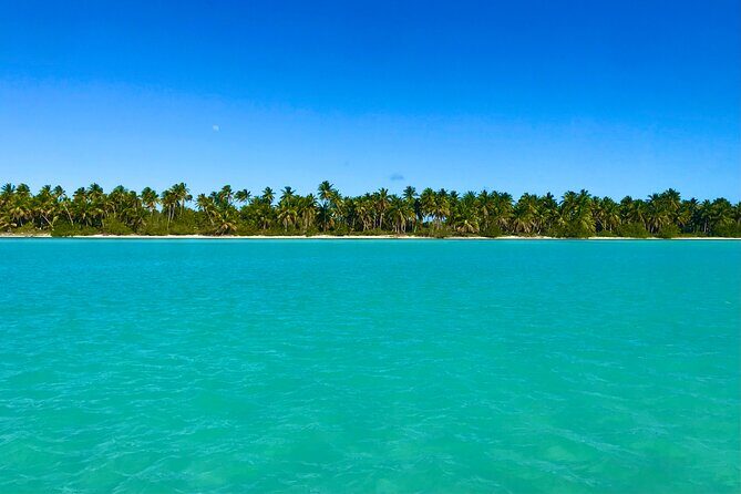 Saona Island Full Day Tour with Buffet Lunch, Paella, & Open Bar - Saona Island: The Heart of the Tour