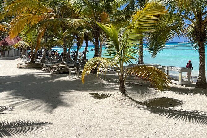 Saona Island Full Day Tour with Buffet Lunch, Paella, & Open Bar - Return Journey