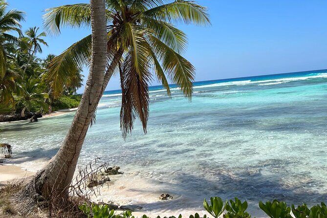 Saona Island Full Day Tour with Buffet Lunch, Paella, & Open Bar - What Sets This Tour Apart?
