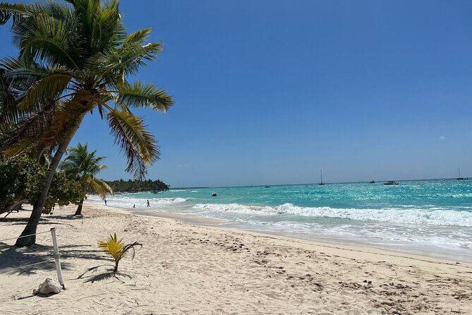 Saona Island Full Day Tour with Buffet Lunch, Paella, & Open Bar - Who Is This Tour Best For?