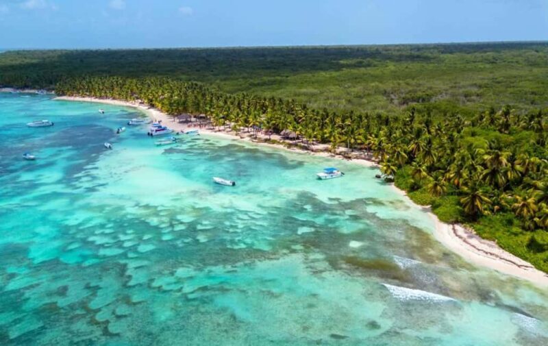 Saona Island: Full-Day Tour with Speedboat and Catamaran - Who Would Love This Experience?