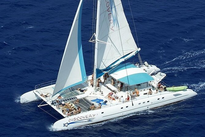 Saona Island Full Day Tours - Catamarán Party From Santo Domingo - Reviews and Ratings of the Tour
