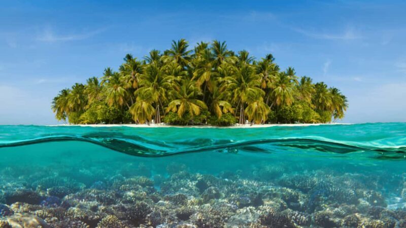 Saona Island: Hidden Beach & Natural Pool - Duration and Value