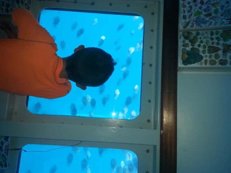 Saona Island in a semi-submarine and snorkeling. - Good To Know