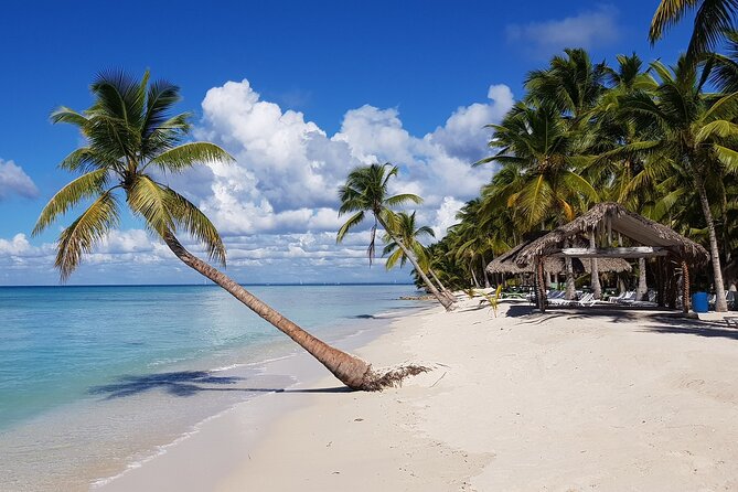 Saona Island Package With Roundtrip Transportation From Airport and Hotels - Inclusions and Exclusions
