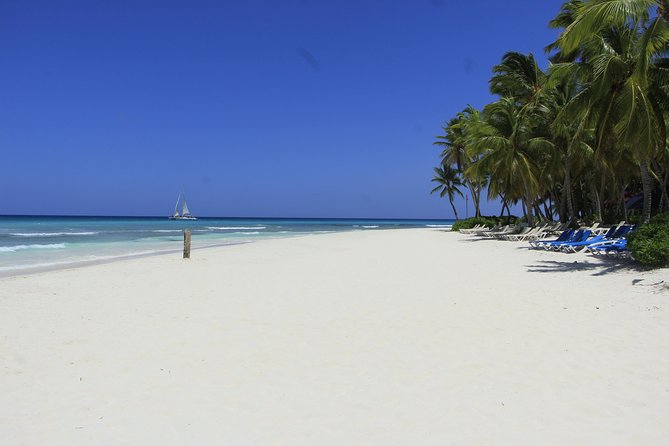 Saona Island Paradise From Punta Cana - Positive and Negative Experiences
