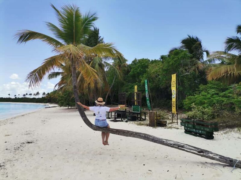 Saona Island Private Beach Club with Lunch - Good To Know