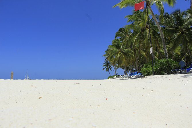 Saona Island Private Boat Tour with Lunch and Beverages - The Sum Up