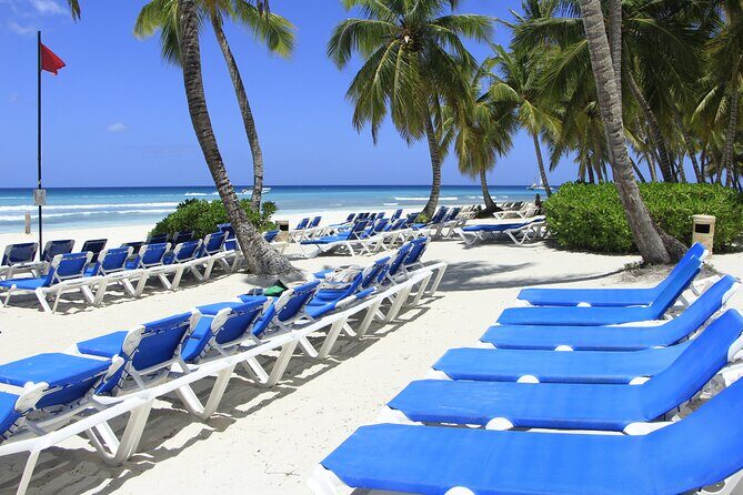 Saona Island Private Boat Tour with Lunch and Beverages - FAQ