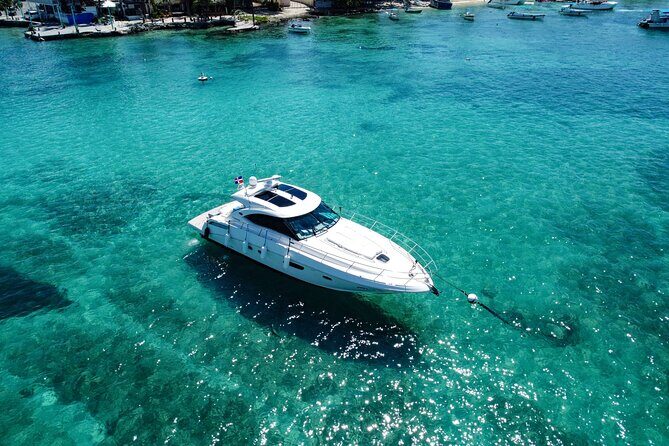 Saona Island Private Yacht Tour - The Authentic Touch: What Reviewers Say