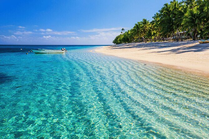 Saona Island : Punta Cana All Inclusive - Food and Drinks