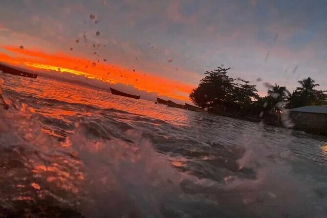 Saona Island : Punta Cana All Inclusive - Activities and Highlights