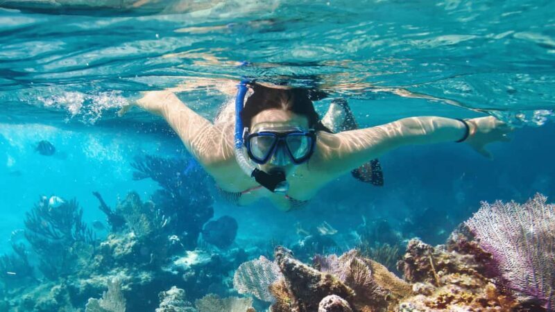 Saona Island: Punta Cana All-Inclusive - Who Would Enjoy This Tour?