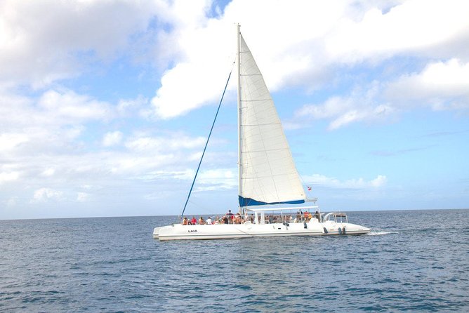 Saona Island Sail Catamaran Tour - Tour Pricing and Booking Details