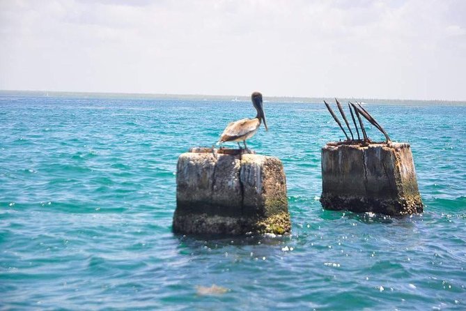 Saona Island Sailing Tour - All Inclusive - Complaints and Hosts Response