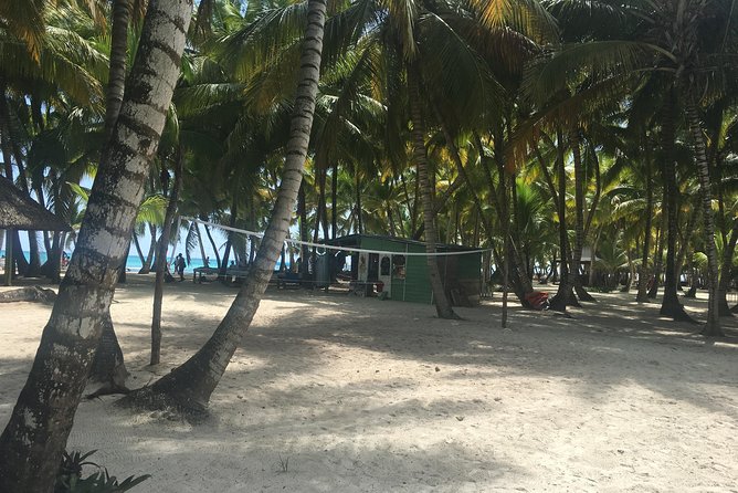 Saona Island Sailing Tour With Private Transportation From Punta Cana. - Ideal for Groups