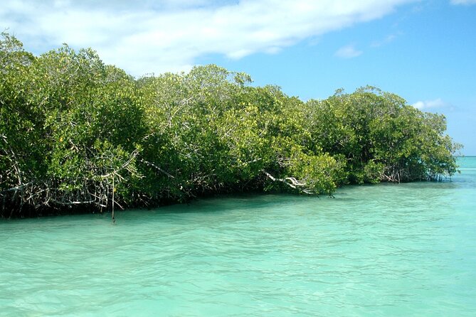 Saona Island: Small Group Tour on a Comfortable Boat - Traveler Photos
