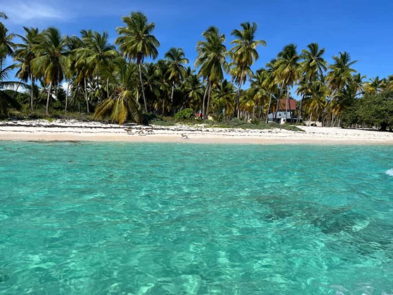 Saona Island: Small Group Virgin Beaches Cruise Day Trip - The Journey Begins in Bayahibe