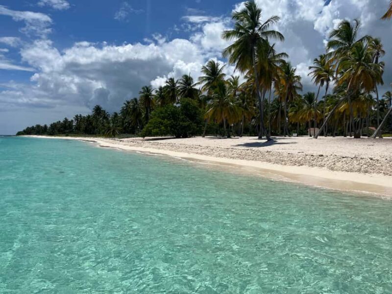 Saona Island: Small Group Virgin Beaches Cruise Day Trip - FAQs