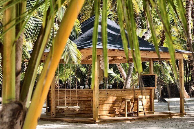 Saona Island The Virgin Part No One Knows - The Real Experience: Authenticity & Value