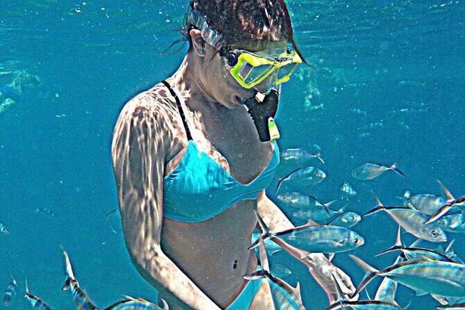 Saona Island Tour - Saona Island Exploration