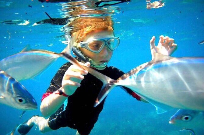 Saona Island Tour - Additional Details