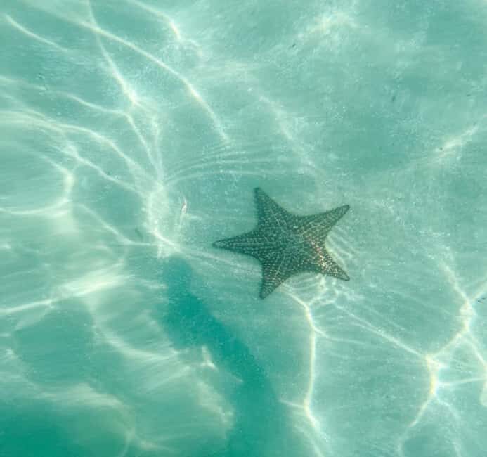 Saona Island Tour All Inclusive Speedboat and Catamaran - Practical Tips for Making the Most of the Tour