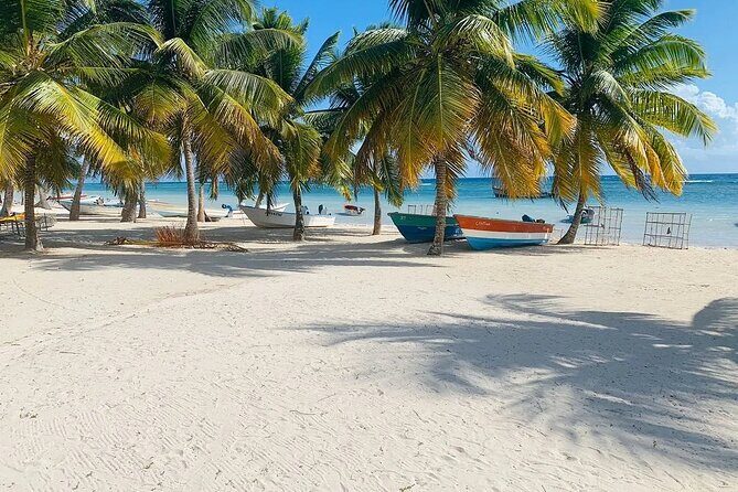 Saona Island Tour From Santo Domingo with Lunch, Open Bar, Pickup - Whats Included and What to Consider