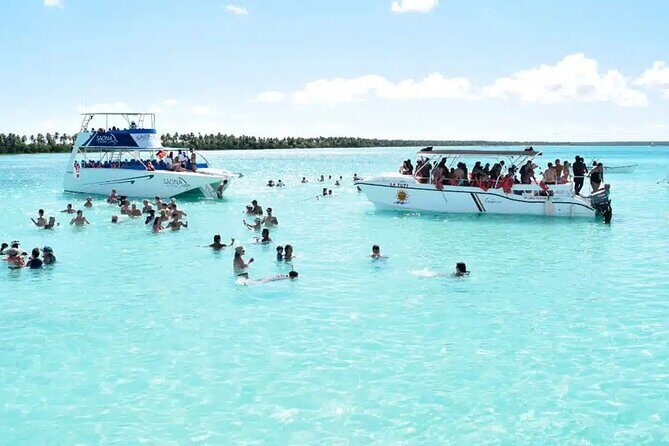 Saona Island Tour From Santo Domingo with Lunch, Open Bar, Pickup - Who Should Consider This Tour?