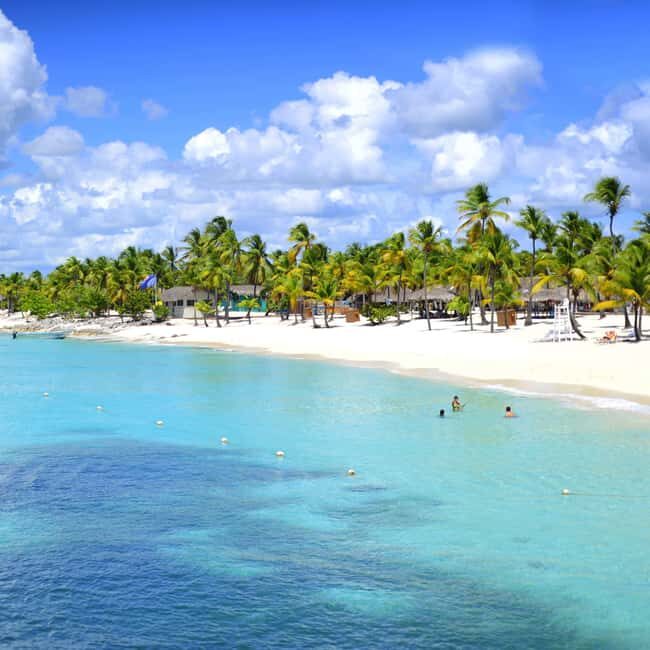 Saona Island Tour from Santo Domingo with Lunch - A Deep Dive into the Experience