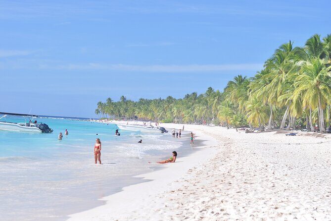 Saona Island Tour in Punta Cana - Who Should Book This Tour?