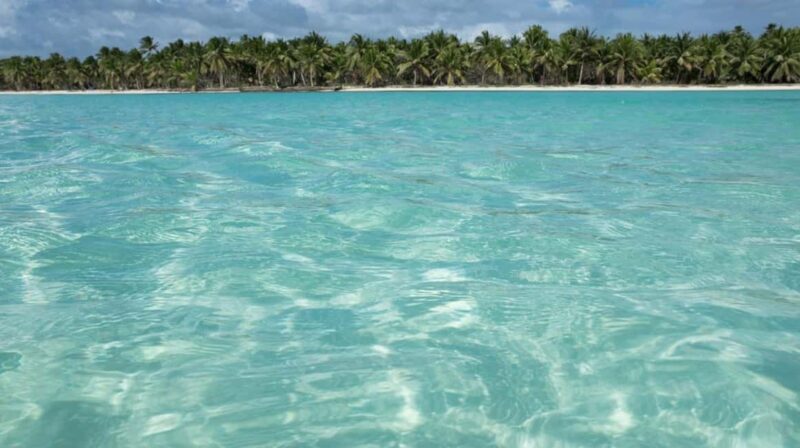 Saona Island: Tour with Lunch and Drinks - Arrival at Saona Island: The Highlight