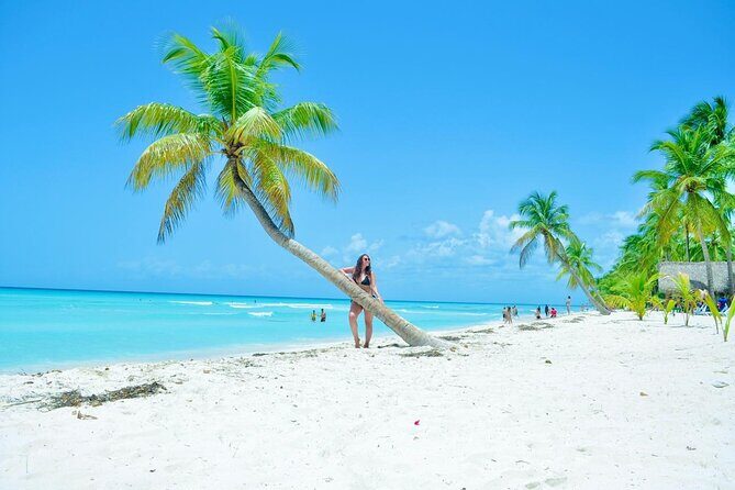 Saona Island Tour with Lunch and Open Bar - Introduction