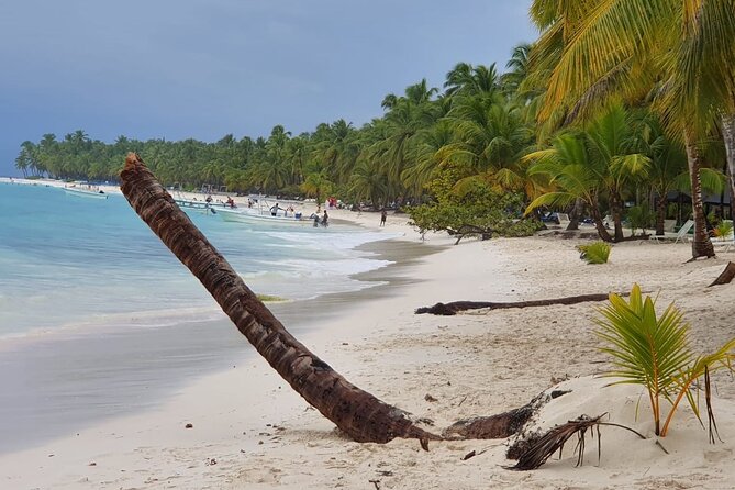 Saona Island Unforgettable Experience. !!! .. - Transportation Details