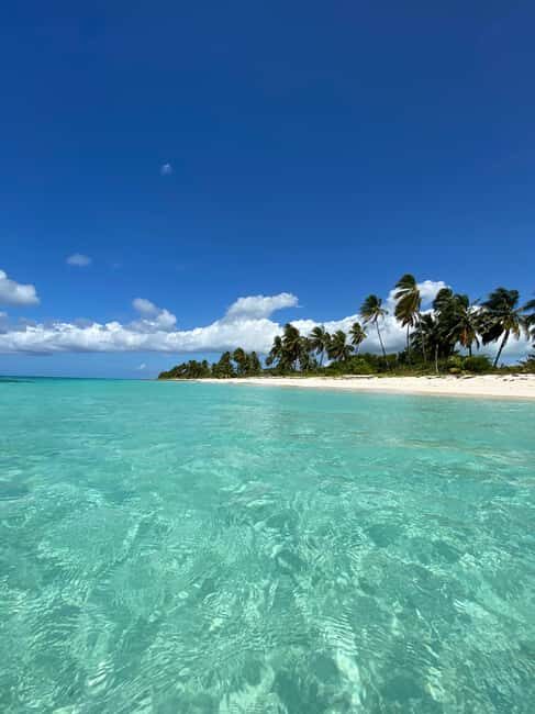 Saona Island VIP: 4 Beaches , Mano Juan & Canto de la Playa - Introduction: What Makes This Tour Stand Out?