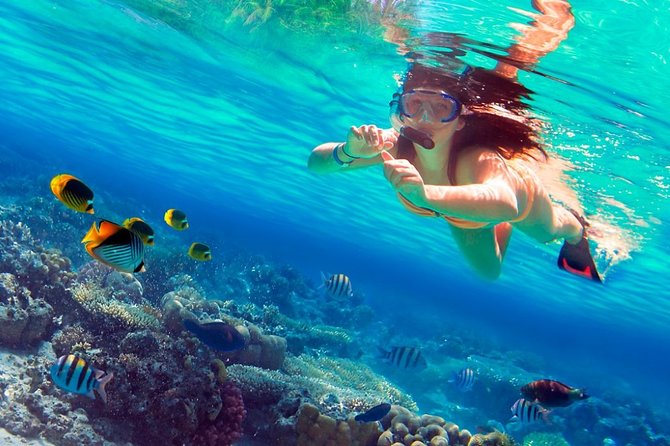Saona Island VIP and Mano Juan Tour, All Inclusive From Punta Cana - Tour Overview