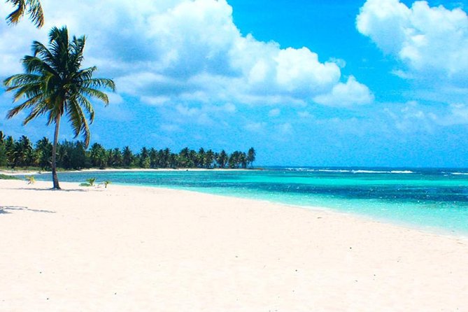 Saona Island VIP - Full Day All Inclusive Excursion! - Booking and Cancellation Policy