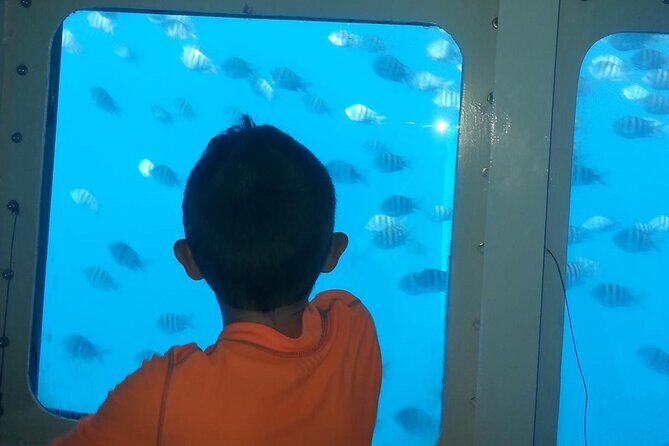 Saona Island With Semi Underwater And Snorkel From Bavaro Punta Cana - Good To Know