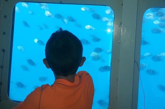 Saona Island With Semi Underwater And Snorkel From Bavaro Punta Cana - FAQ