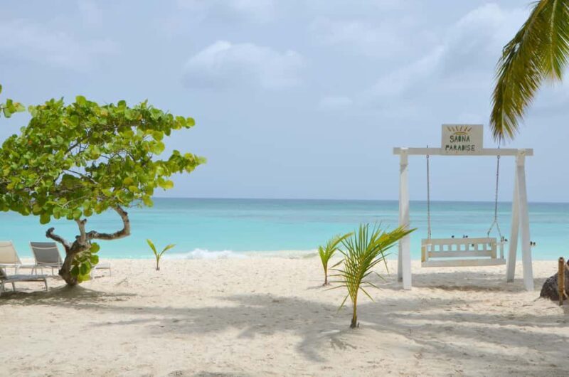 Saona Special Tour: 4 Beaches with Canto from Punta Cana - Good To Know