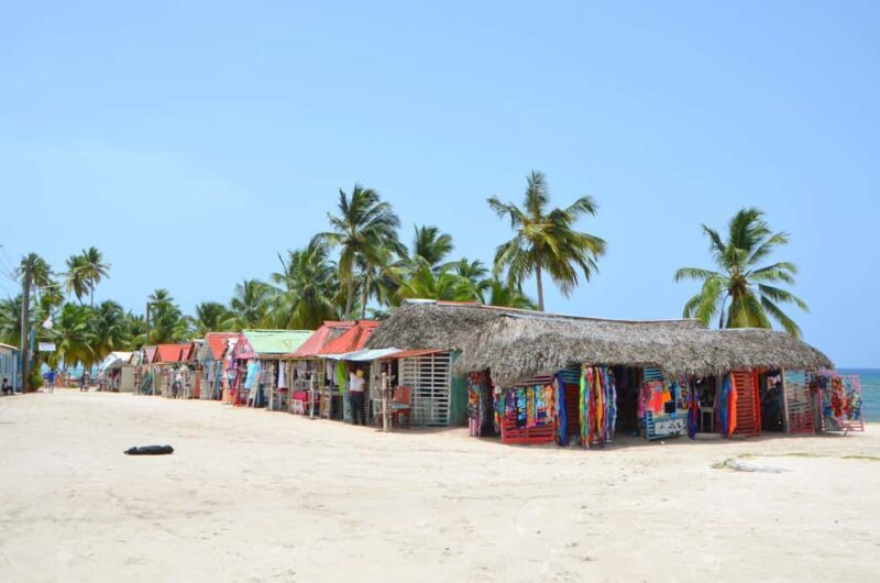 Saona Special Tour: Four Beaches & Canto Experience - Who Should Consider This Tour?